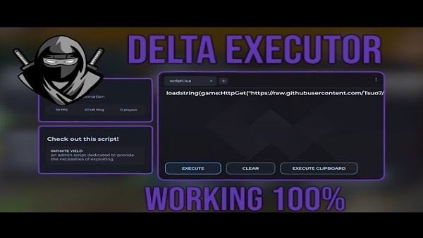 optimizar roblox delta executor 2025